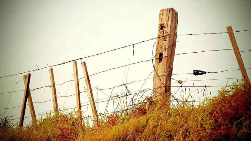 欧洲冠军联赛决赛现场，球员激烈拼抢，球速体育全程追踪报道